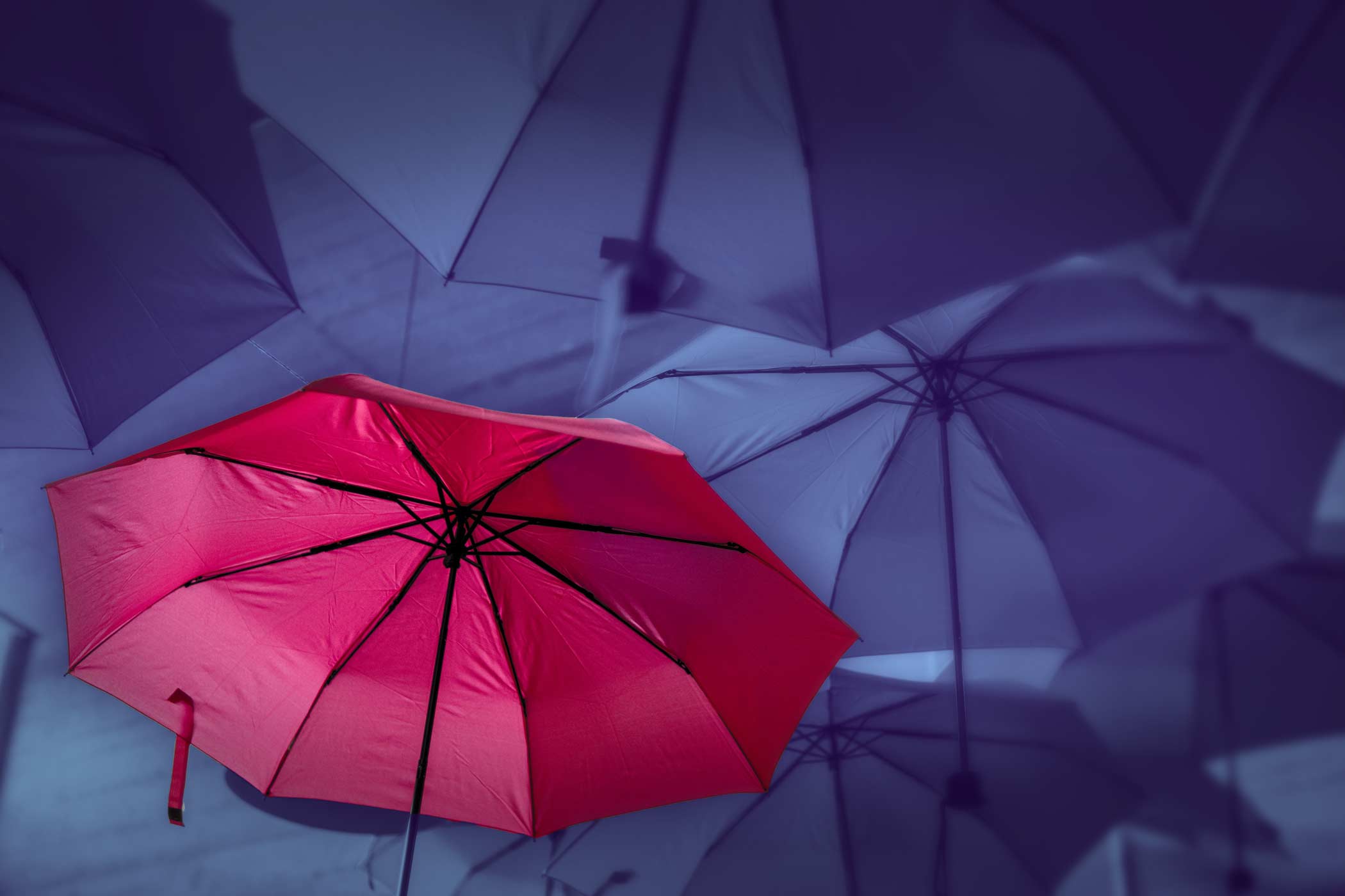 Different umbrellas with on standing out from the others